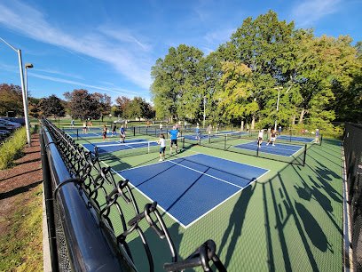 Ginty Park Pickleball thumbnail