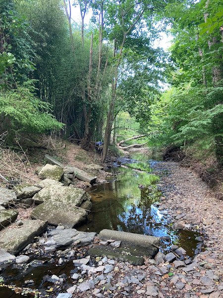 Kingsley Park - Image 2