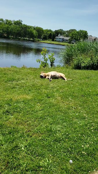 Marucci Memorial Park - Image 2