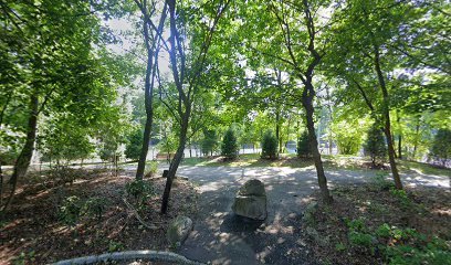 Pickleball courts thumbnail