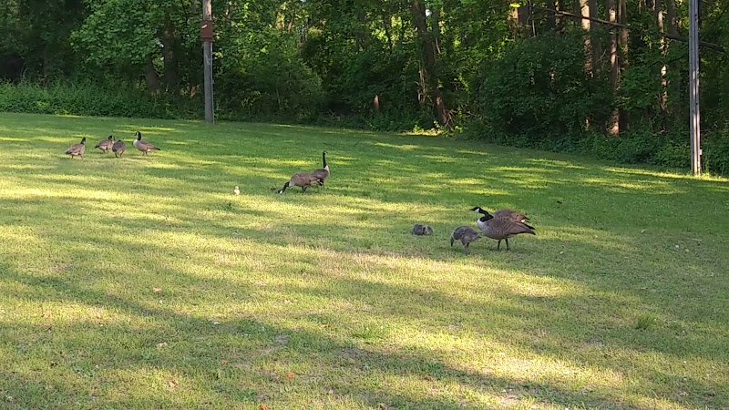 James G. Atkinson Memorial Park thumbnail