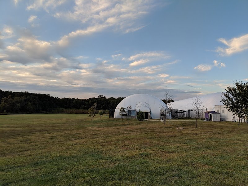 Windsor Tennis Club / Advantage Tennis Club - Image 2