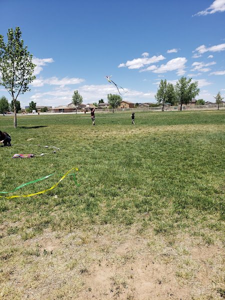 Huning Ranch Park - Image 3