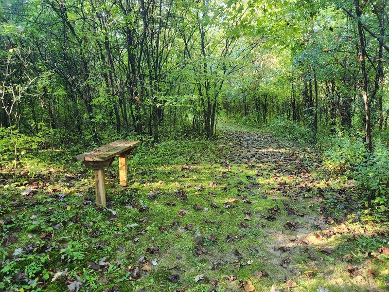 Veterans Memorial Park & Mooney Carrese Forest thumbnail