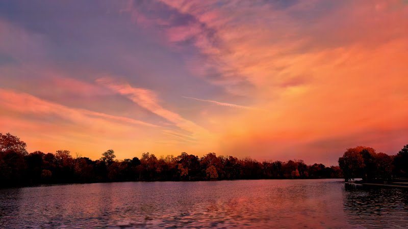 Delaware Park - Image 2