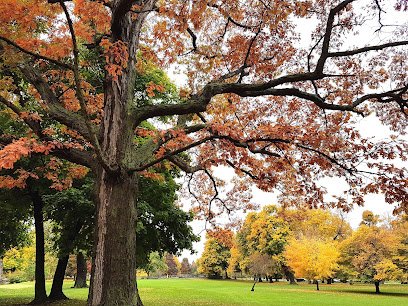 Buffalo Olmsted Parks Conservancy thumbnail