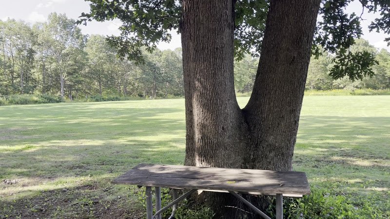 Bethpage State Park - Image 2