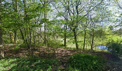 Bonnie Briar Pickleball Court thumbnail