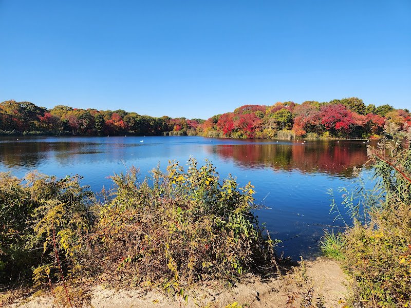 Marjorie R. Post Community Park - Image 3