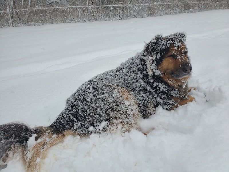 Whitman Park - Image 3