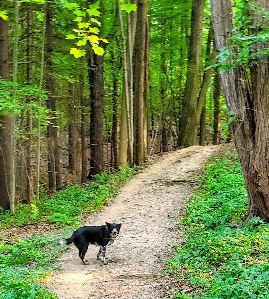 Mendon Ponds Park - Image 3