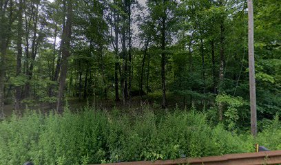 Neversink Park thumbnail