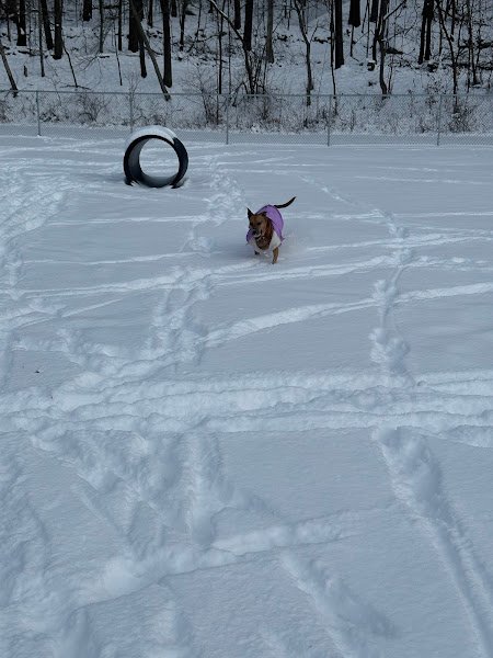 San Giacomo Park thumbnail