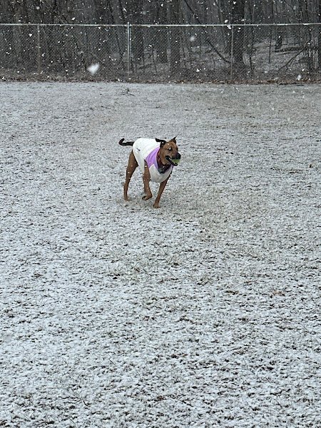 San Giacomo Park - Image 2