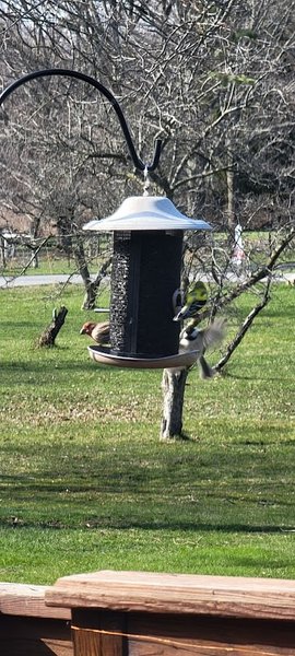 Black Creek Sledding Hill thumbnail