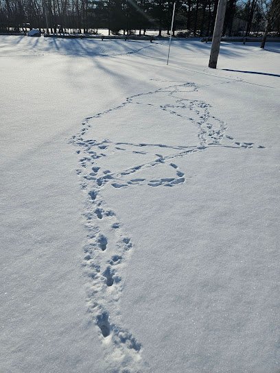 Veterans Memorial Park Pickleball Courts thumbnail