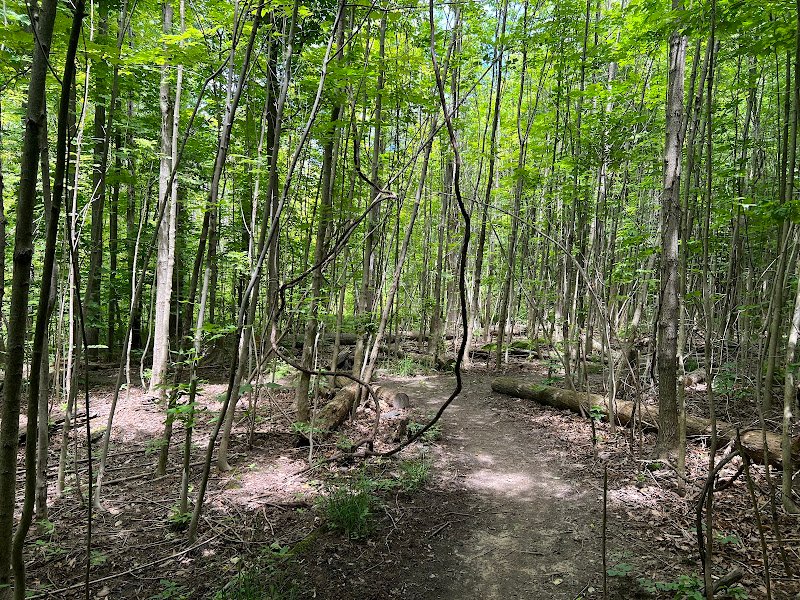 Harris Whalen Park thumbnail