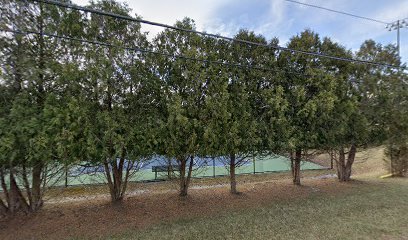 Town Park Pickleball Ball courts thumbnail