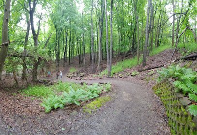 Irondequoit Recreation thumbnail