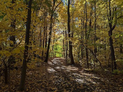 Basil Marella Park thumbnail