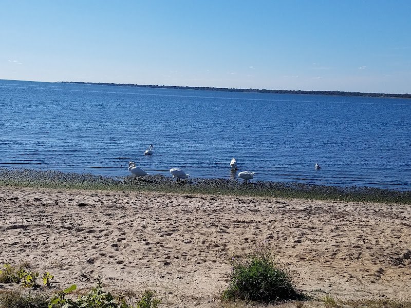 Shirley Beach thumbnail