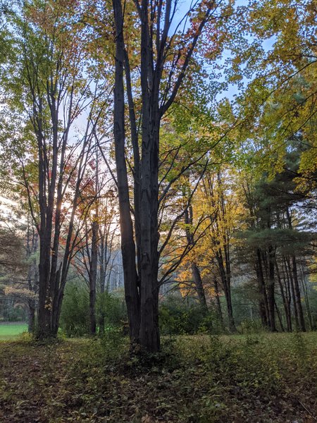 New Scotland Town Park thumbnail