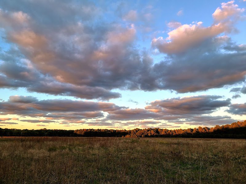 Veterans Memorial Park thumbnail