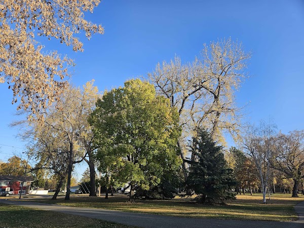 Sertoma Park - Image 2