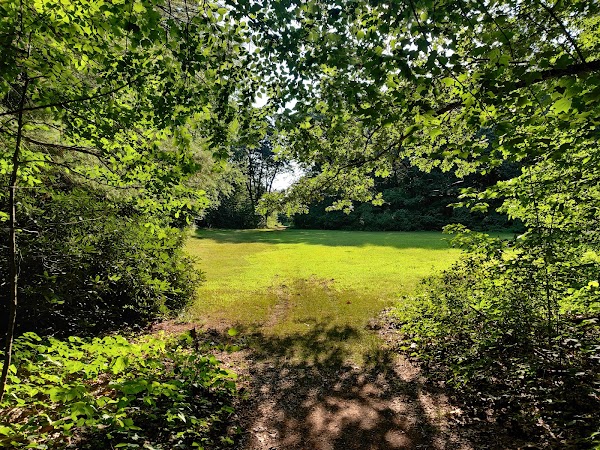 Cheshire Park - Image 2