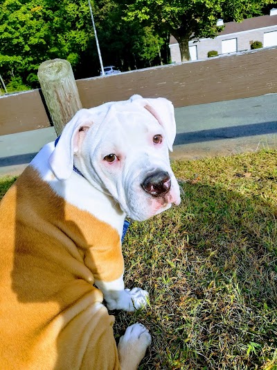 Cheshire Park - Image 3