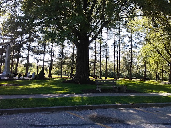 Municipal Park thumbnail