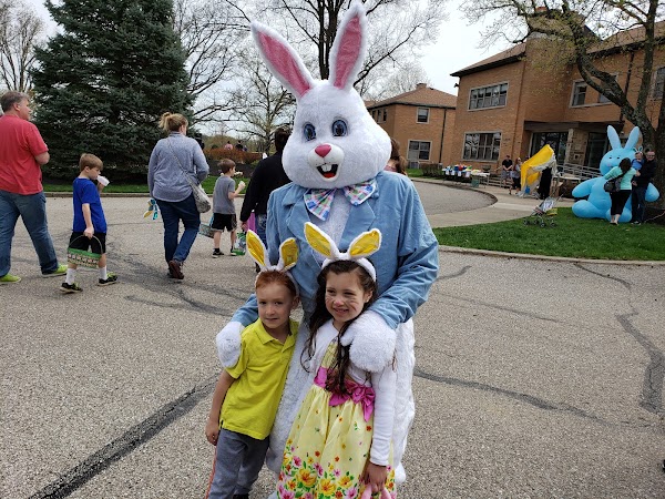 Municipal Park - Image 3