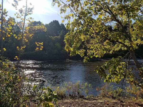 Linden Park - Image 3