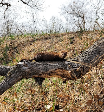 Eagles Park thumbnail