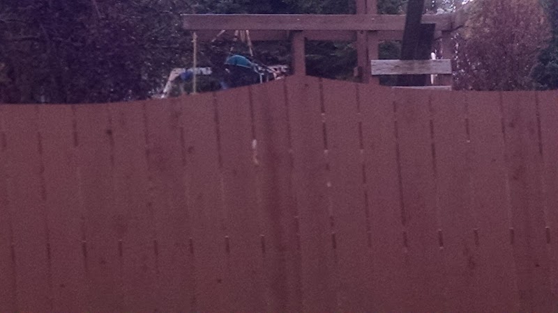 Discovery Park - Image 3