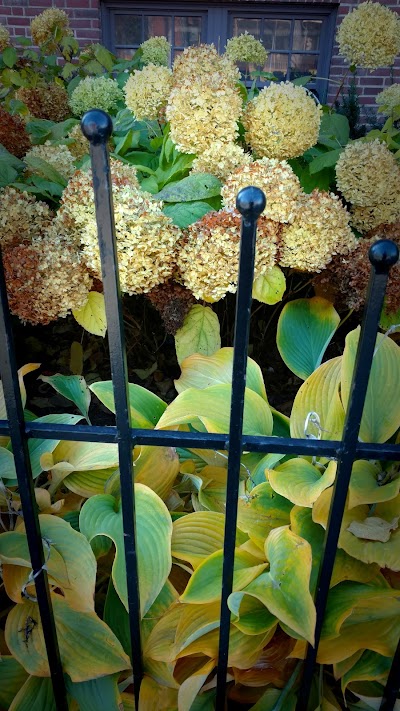 Robert D. Johnson Recreation Center - Image 2