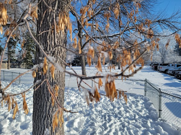 Exchange Club Park thumbnail