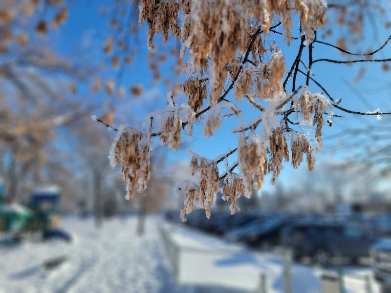 Exchange Club Park - Image 3