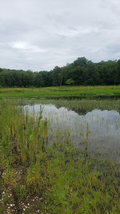 Audubon Pickleball Courts thumbnail