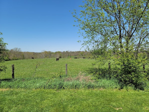 Memorial Park - Image 3