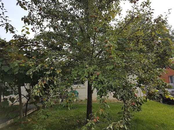 Idle Hour Country Club - Image 2