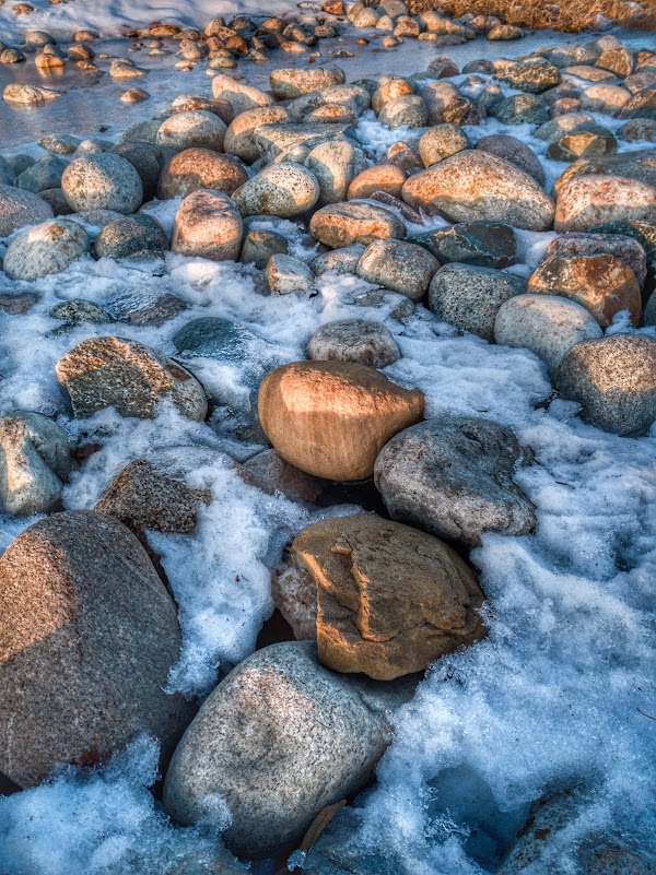 Leach Park - Image 2