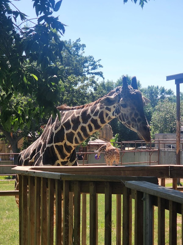 Roosevelt Park - Image 2