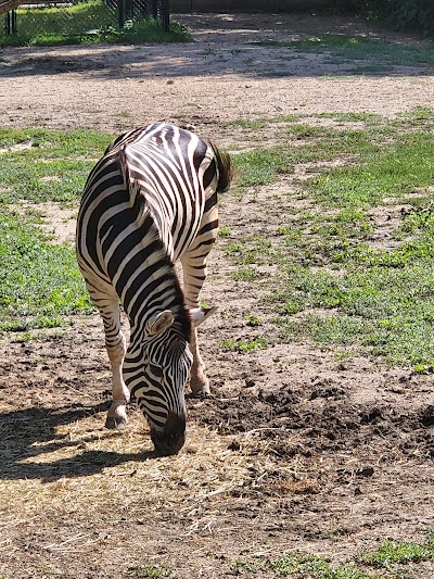 Roosevelt Park - Image 3