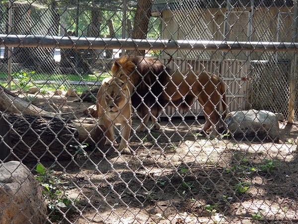 Minot Park District thumbnail