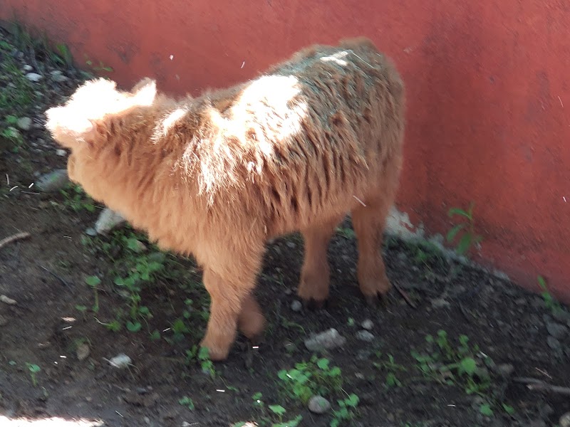 Minot Park District - Image 2