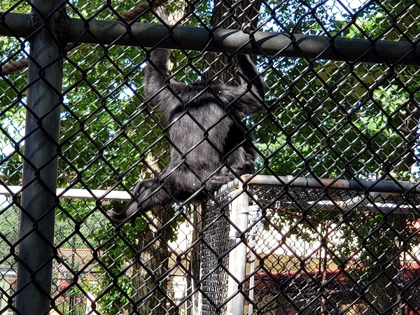 Minot Park District - Image 3