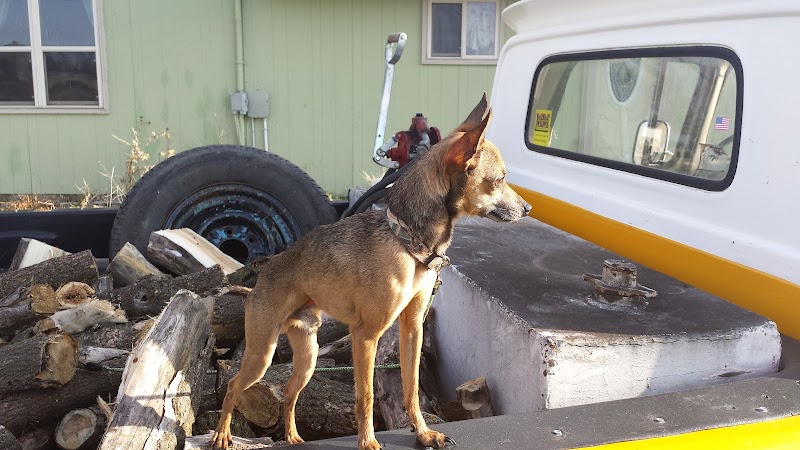 Minto City Park Campground - Image 2