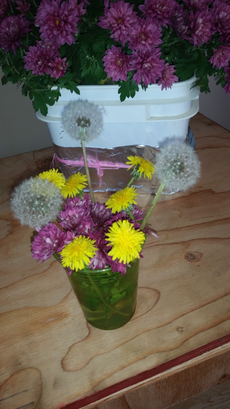 Mott American Legion Park - Image 3