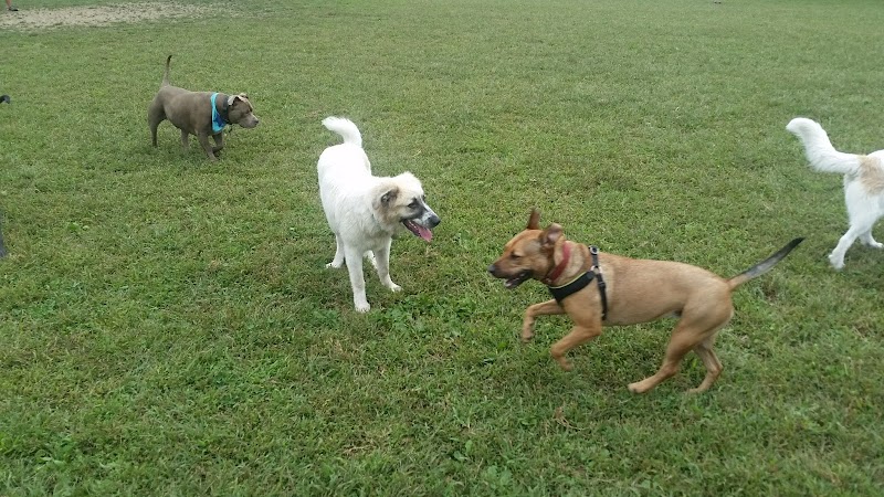 Rowayton Community Center thumbnail